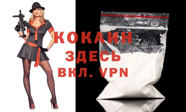 гашик Новозыбков