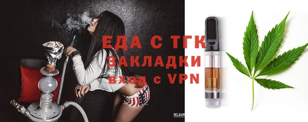 гашик Новозыбков