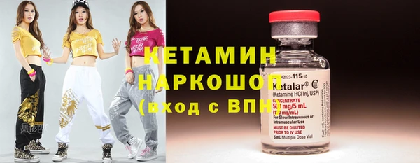 гашик Новозыбков
