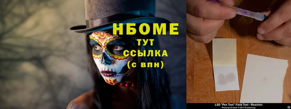 гашик Новозыбков