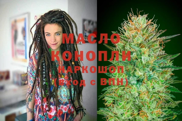 гашик Новозыбков