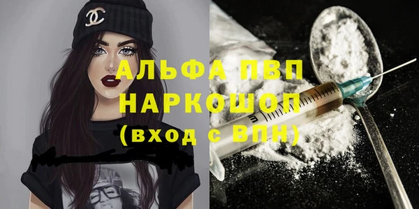 гашик Новозыбков