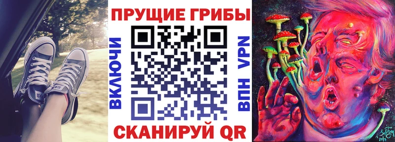 Псилоцибиновые грибы мухоморы как найти закладки Саянск