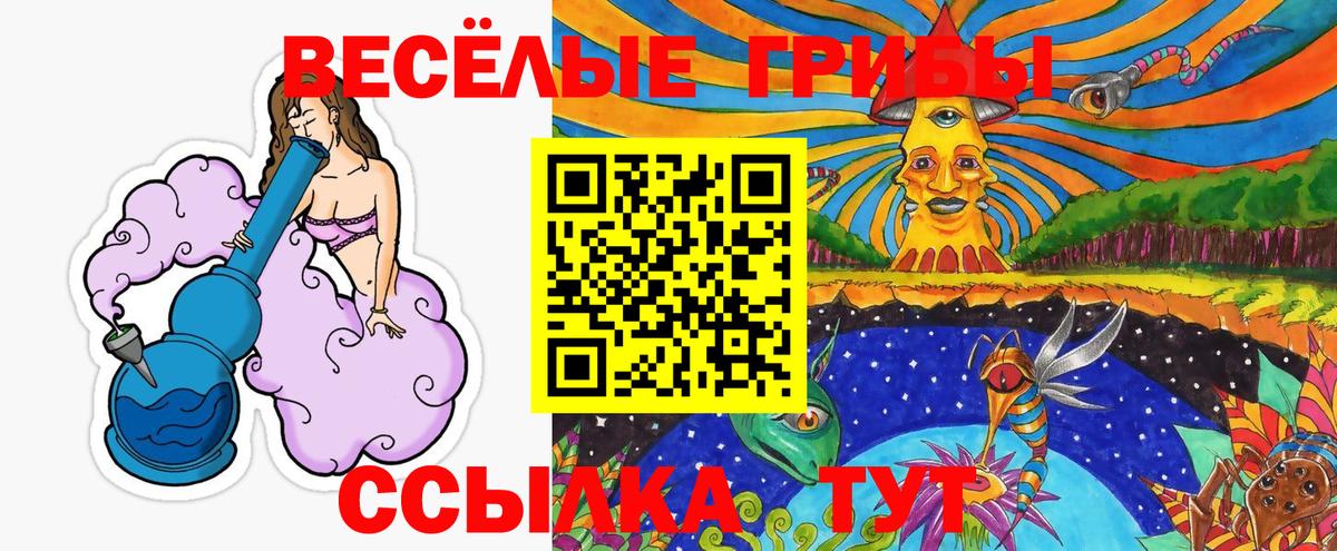 Псилоцибиновые грибы мухоморы  Галлюциногенные грибы Psilocybe  Саянск  Вход с VPN 