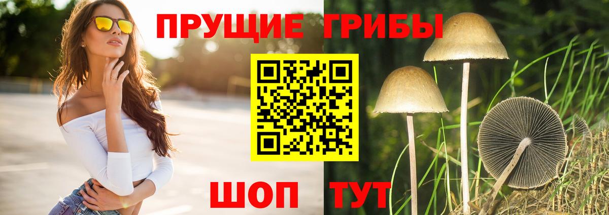 Бошки Шишки  ГАШИШ  Саянск  Кокаин  Меф МЯУ МЯУ   Вход с VPN 