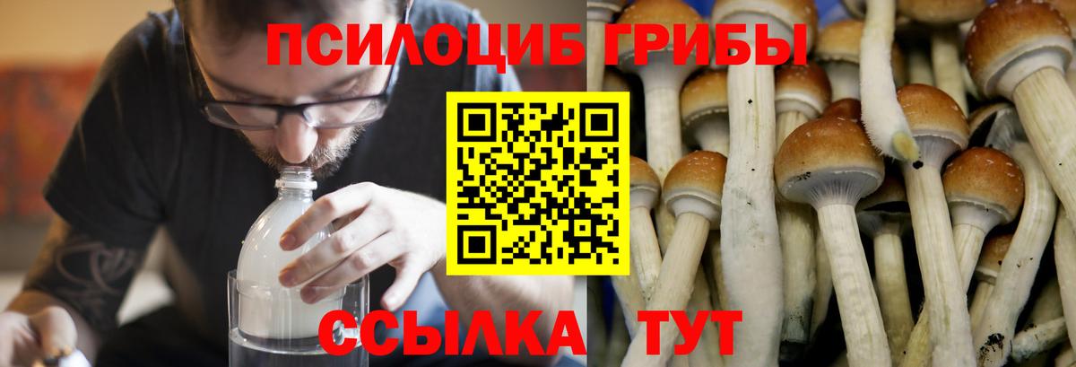 Галлюциногенные грибы прущие грибы Саянск